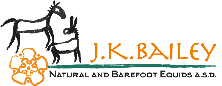 logo JK Bailey - Natural and Barefoot Equids ASD